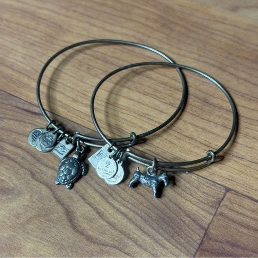 Alex and Ani Charity Bronze Charm‎ Bangle Bracelets Dog Sea Turtle Alex&Ani Lot
